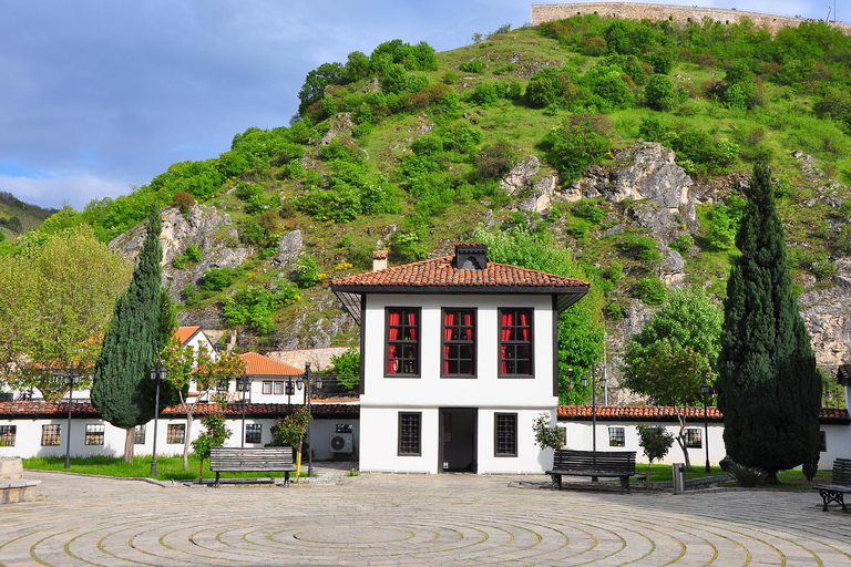 From Skopje:Kosovo in a Day-Group Tour to Pristina & Prizren