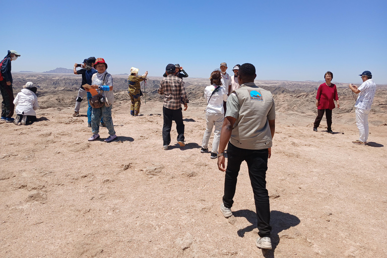 Walvis Bay to Swakopmund Tour: Coastal Gems & Desert Magic