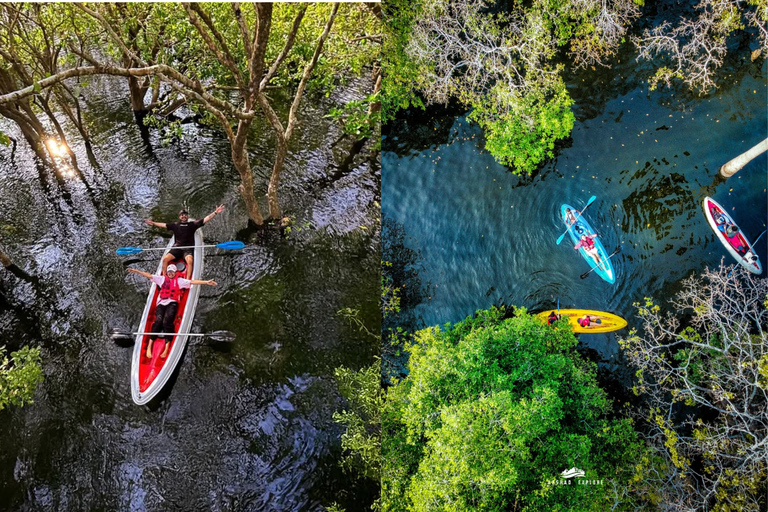 From Sigiriya: Kayaking Through Floating Flowers at Kanthale