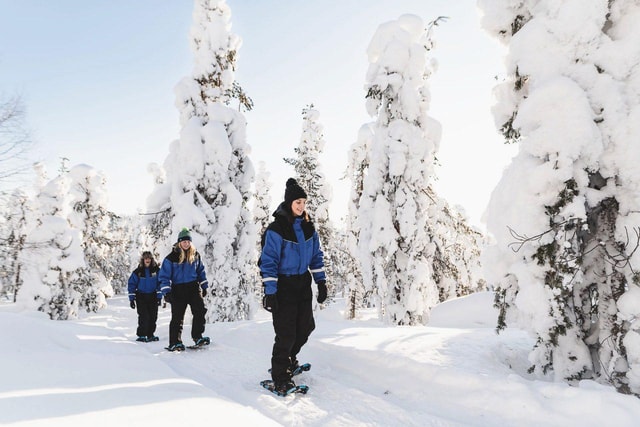 Snowshoeing in the Arctic Circle Forest