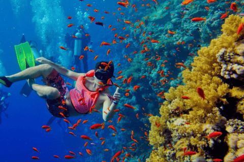 Zanzibar : Safari blue half day trip, snorkeling and lunch
