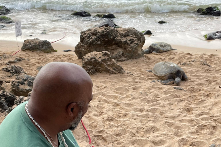 Oahu: Half-Day North Shore Scenic Tour