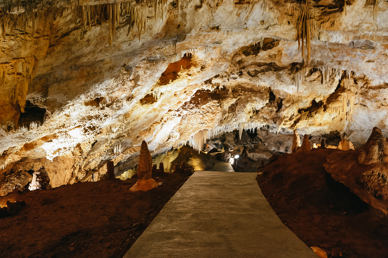 Von Kotor: Erkunden Sie die wilde Schönheit der Lipa-Höhle