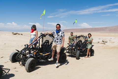 Paracas: National Reserve Mini Buggy Tour with Sunset