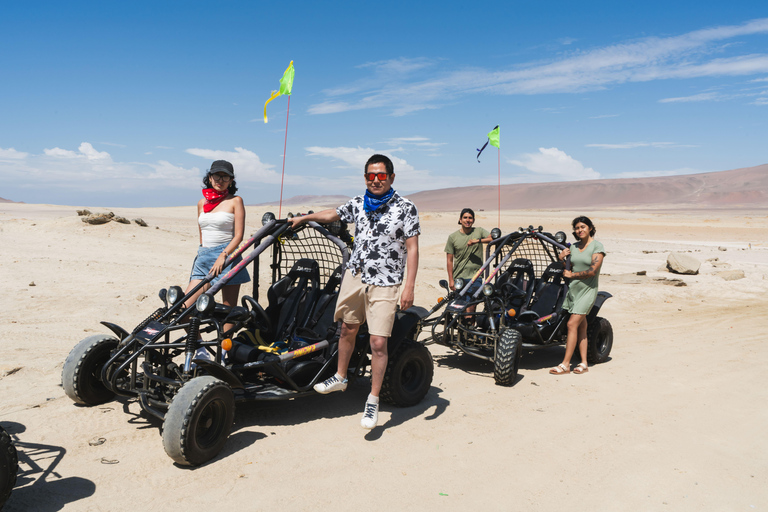 Paracas: National Reserve Mini Buggy Tour with Sunset