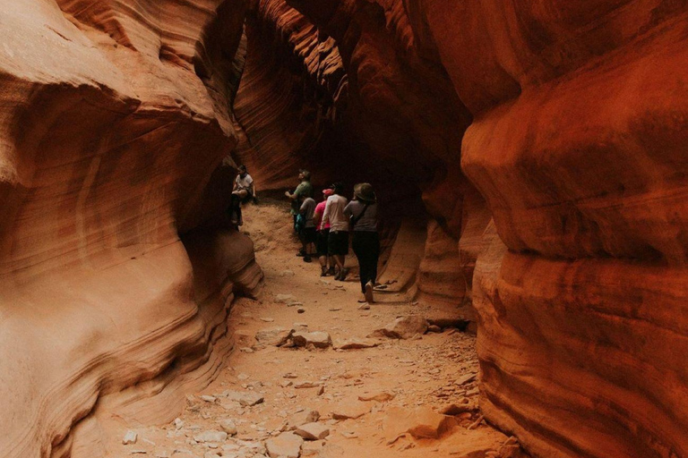 Kanab: Peekaboo Slot Canyon and Great Chamber UTV Tour Private Five to Six Person UTV