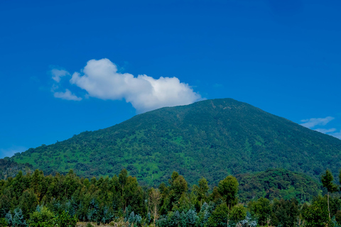 Ruanda: escursione al vulcano Bisoke con andata e ritorno da KigaliEscursione a Bisoke