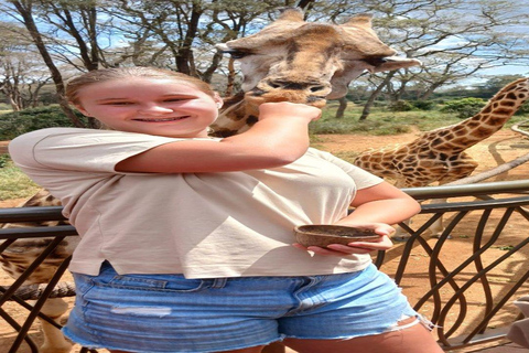 Nairobi National Park, Elephant orphanage & Giraffe Centre