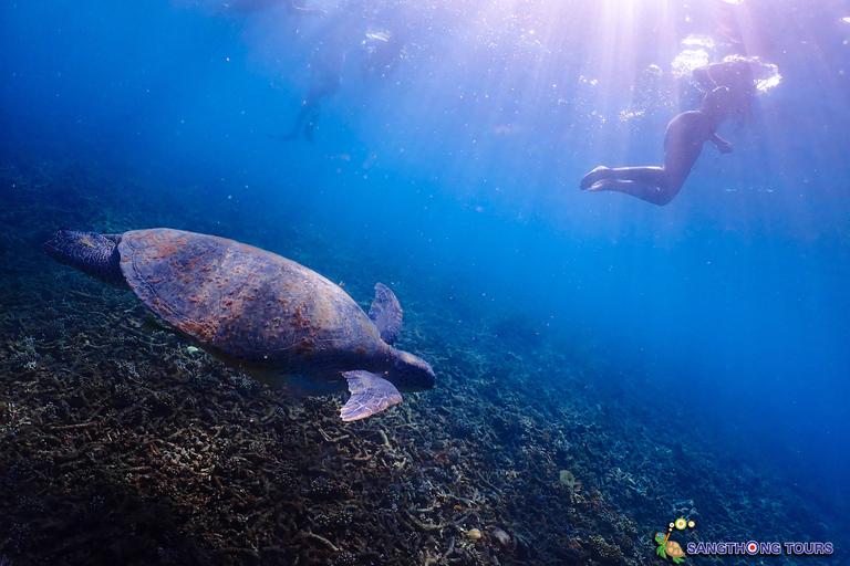 Koh Tao: Excursão de um dia com mergulho com snorkel nas ilhas e almoçoKoh Tao: Ilhas Snorkeling Destaques Day Tour &amp; Almoço