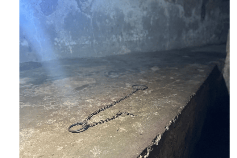 Excursão a Stone Town e à Quinta das Especiarias com almoço tradicionalPasseio pela Cidade de Pedra e Fazenda de Especiarias com Almoço Tradicional