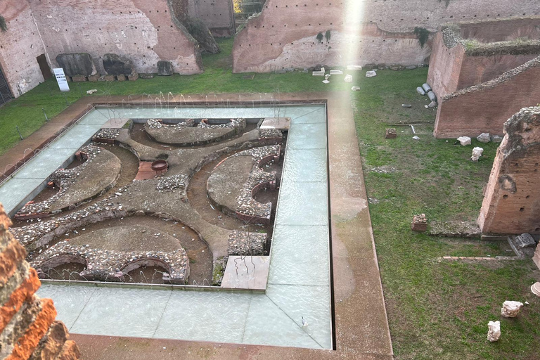 Small Group Guided Tour Colosseum Roman Forum, Palatine Hill Standard Tickets