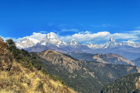 Mohare Danda Trek - 8 Days