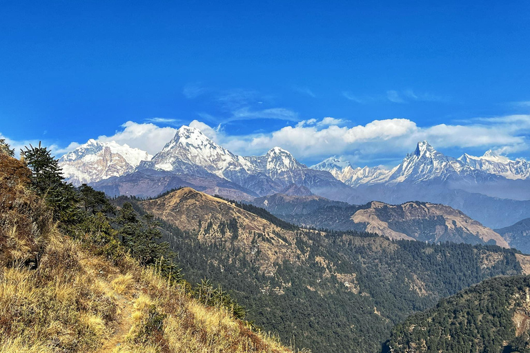 Mohare Danda Trek - 8 Days