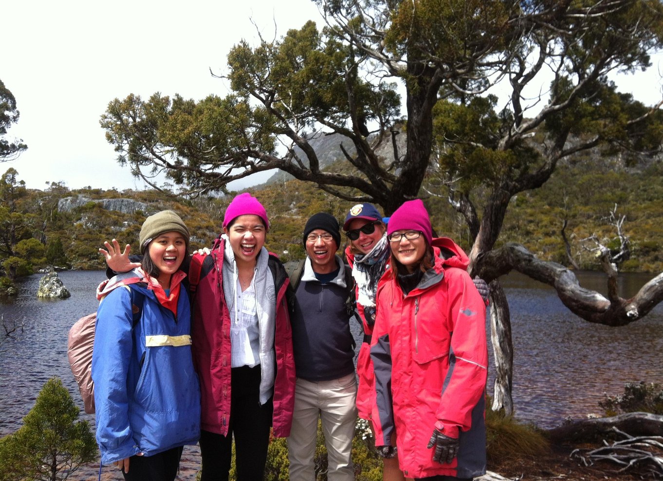 Launceston: Cradle Mountain National Park dagsudflugt med vandretur