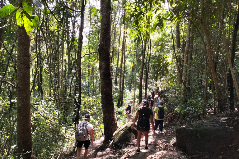 Chiang Mai: Mae Ya waterval &amp; Pha Dok Siew trektochtPrivétour met ophaalservice vanaf je hotel