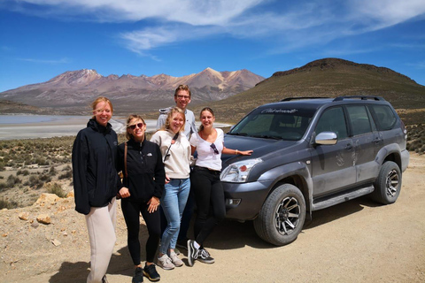 From Arequipa: Salinas Lagoon & Salt Flats 4x4 Private Tour