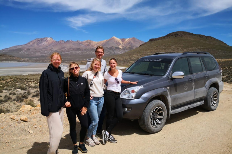 From Arequipa: Salinas Lagoon & Salt Flats 4x4 Private Tour