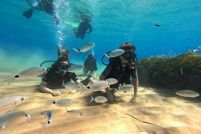 Corfu: Scuba Diving and Snorkeling from a Boat Let's go scuba diving!