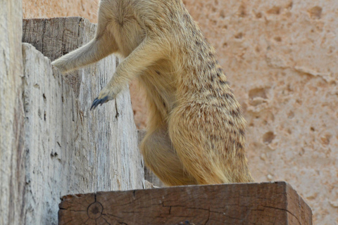 Benidorm: Terra Natura and Aqua Natura Combo Day Ticket Benidorm: Terra Natura and Aqua Natura 1-Day Ticket