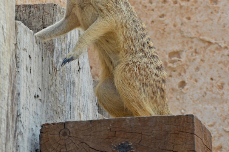 Benidorm: Terra Natura and Aqua Natura Combo Day Ticket Benidorm: Terra Natura and Aqua Natura 1-Day Ticket