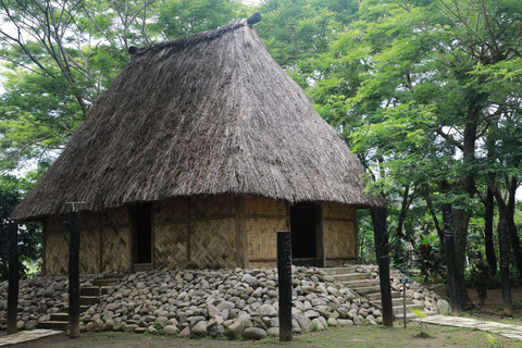 Erlebe die fidschianische Kultur und Küche (Nachttour)Nadi: Abendliche Tour durch ein fidschianisches Dorf mit Kava-Zeremonie