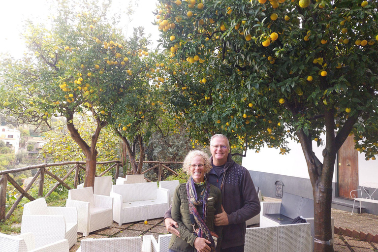Lemon Grove Walk, Tastings, Aperitivo & Open Bar in Sorrento Lemon Tasting in Sorrento - Italian