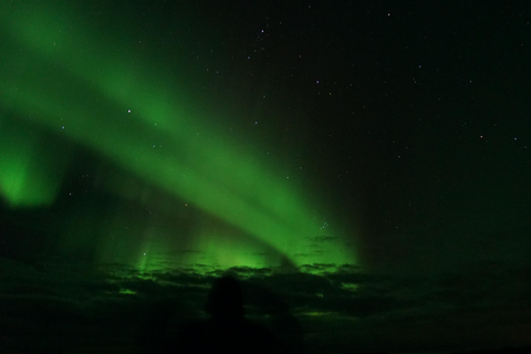 Rovaniemi Northern Lights – The Real Guaranteed Hunt