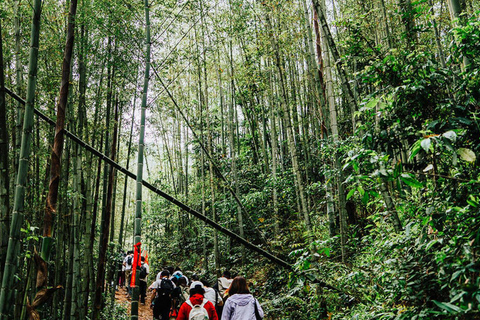 Shenzhen: Conghua Bamboo Forest & Village Private Day Trip