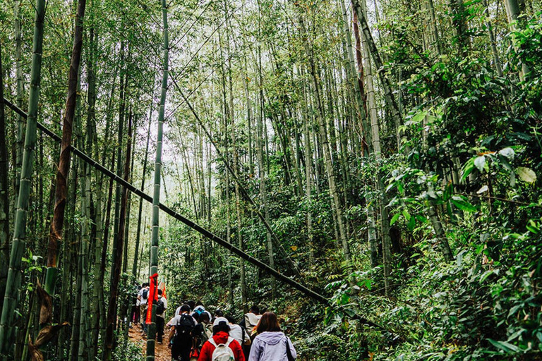 Shenzhen: Conghua Bamboo Forest & Village Private Day Trip