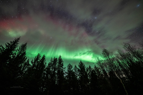 Tromsø:Northern Lights Tour with Photo and Suits.Local Guide Tromsø: Northern Lights Tour with Photos and Warm Suits