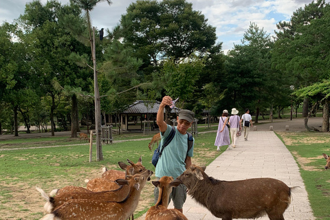 Nara : Visite à pied privée