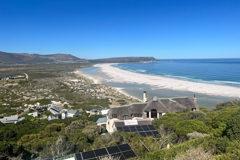 Cape of Good Hope & African Penguins Small Group Tour