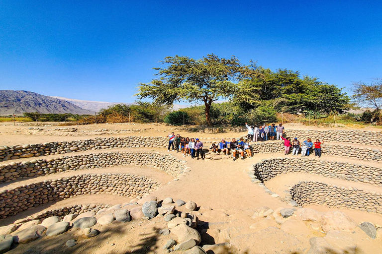 De Ica ou Huacachina: Viagem de 1 dia para Nazca