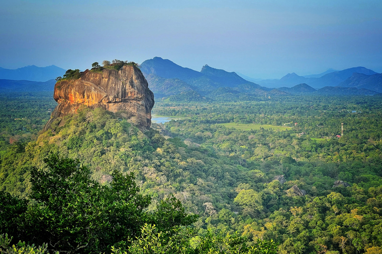 Excursão particular de 1 dia a Sigiriya e DambullaTour começando na área de Negombo