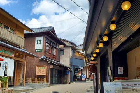 Osaka: Castello di Himeji, Arima Onsen e Monte Rokko Tour di 1 giorno in autobus