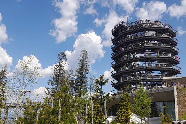 from Zakopane: Treetop Walk and Štrbské Pleso Trip