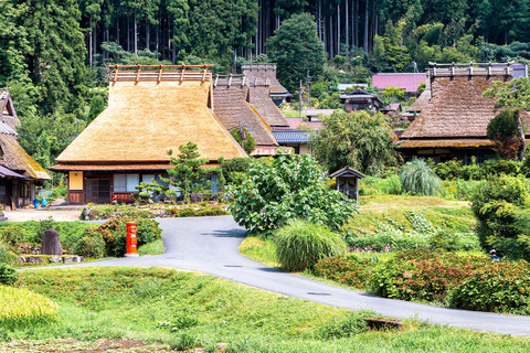 Kyoto Full-Day Tour:Miyama Village, Amanohashidate &Ine Bay Day Tour from Osaka:Miyama Village, Amanohashidate&Ine Bay