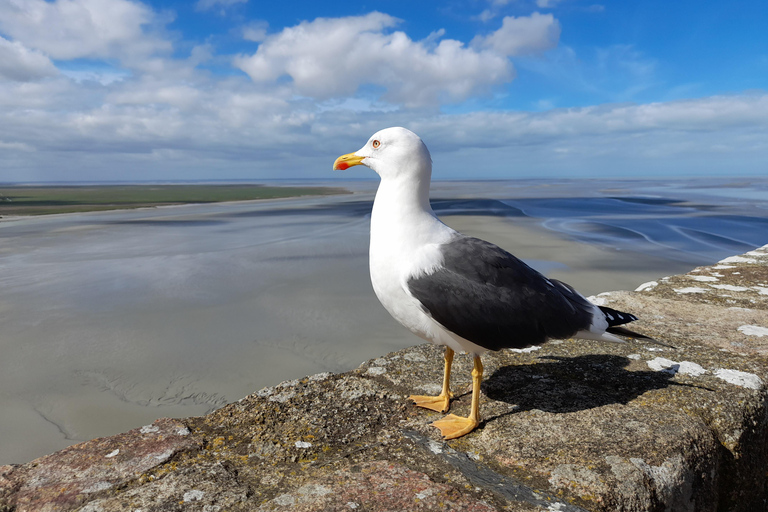 Mont-Saint-Michel: tour guidato dell&#039;abbazia e del villaggio