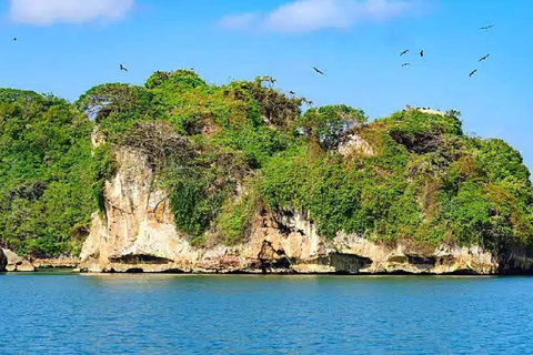 Private: Samaná Bay, El Limón, & Cayo Levantado Tour