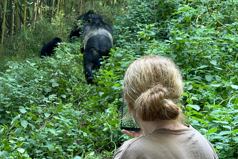 3-Day Gorilla Trek Mgahinga Gorilla NP Uganda via Rwanda