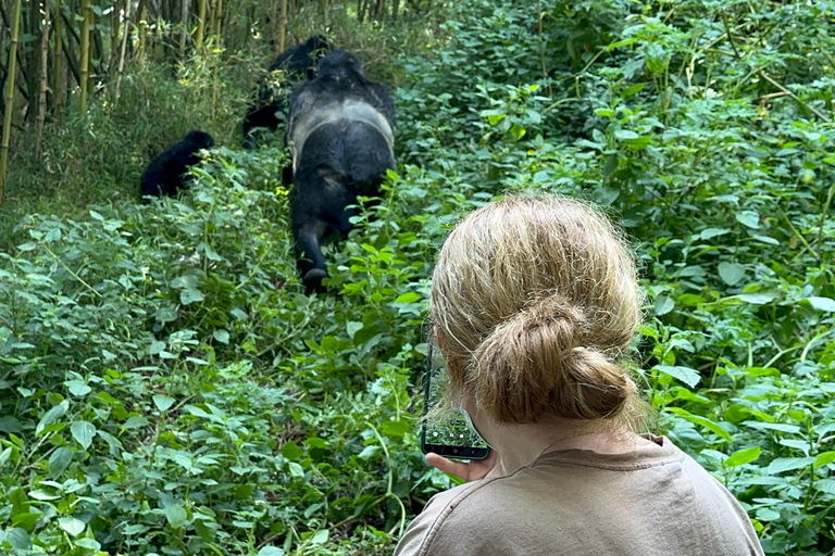 3-daagse gorillatrektocht Mgahinga Gorilla NP Oeganda via Rwanda