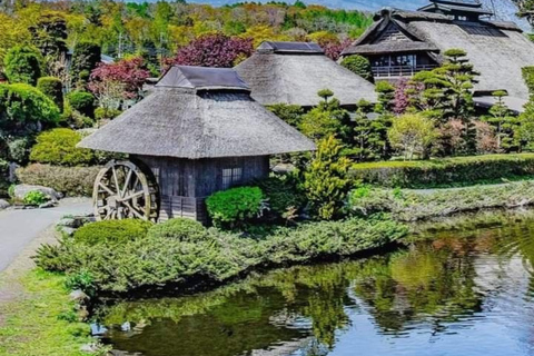 From Tokyo Mount Fuji Private Customizable Tour with Guide