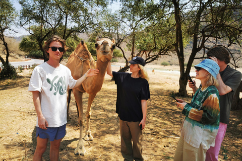 Woestijn overnachtingstour door Visit Our Salalah