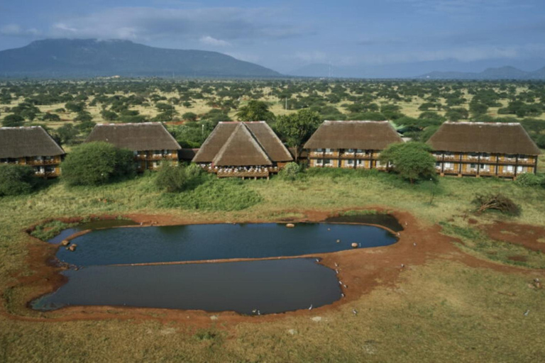 Mombasa: 2-Day Saltlick & Ngutuni Private Safari