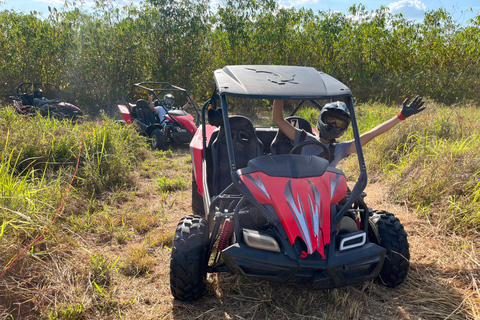 Fort Meade Aventuras en buggyAventura de 45 minutos por una sola pista