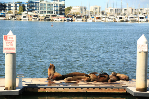 Venice California: Half Day Tour in Open Air Bus