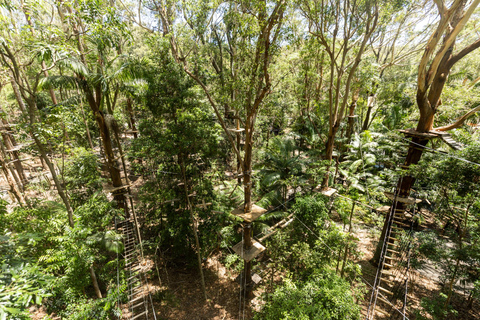 Experience Pass: Sky-High Thrills & Wildlife Wonders