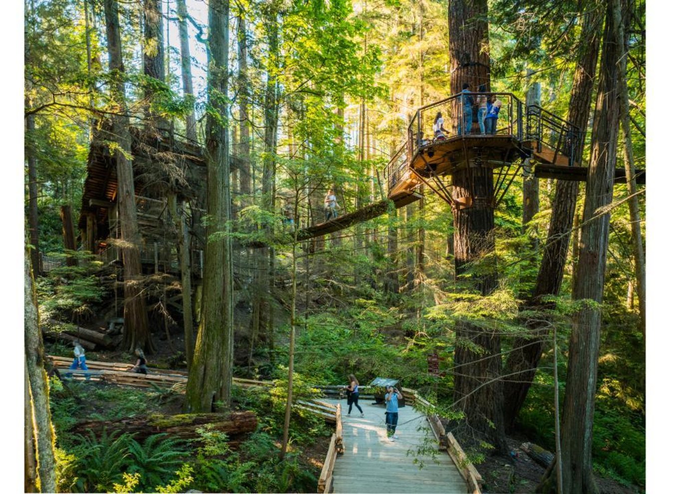 Vancouver: Capilano Suspension Bridge Park billet