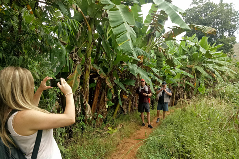 Chiang Mai: Full Day 5 Hill Tribes Tour Transport by Van