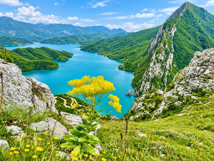 From Tirana/Durres: Bovilla Lake & Gamti Mountain Day Tour - Bovilla Lake and Gamti Mountain near Tirana